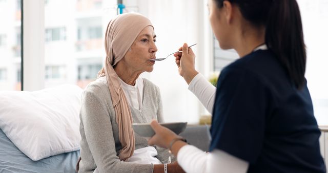 Provide Palliative Care Services